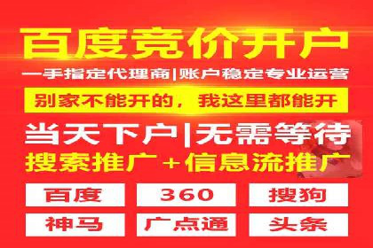 SEM网络推广案例：精准营销助力品牌成长